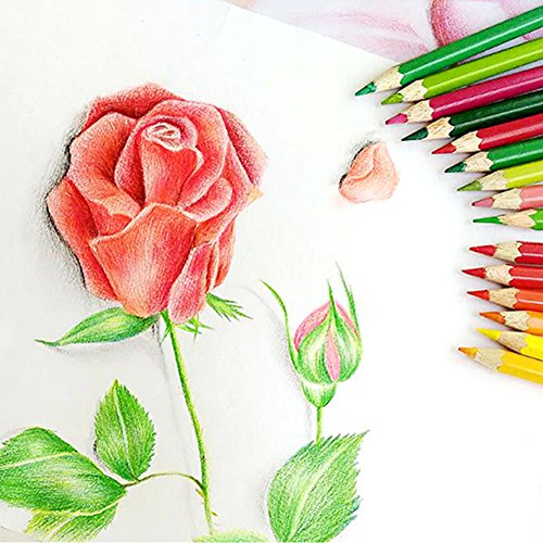 Cobee Wasserlösliche Farbstifte Set für Secret Garden Kunst Marco Farbige Zeichnung Aquarelle Artist Sketch Malerei Metallbox (72 Stück) - 6