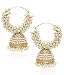 YouBella Gold pearl Hoop earrings for Women RS.399.00