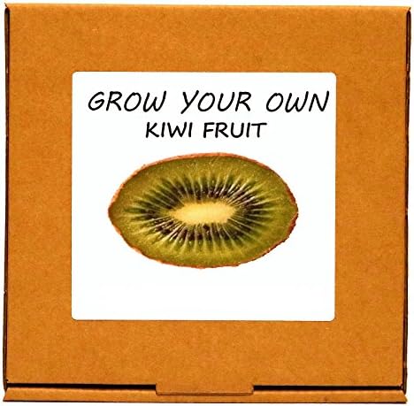 Grow Your Own Kiwi Fruit Plant Kit – Unusual, Unique and Quirky Complete Beginner Friendly Indoor Gardening Gift for Men, Women or Children