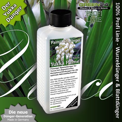 Yukkapalmen Dünger Yucca düngen Palmlilien, Premium Flüssigdünger aus der Profi Linie