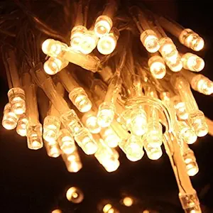 SATYAM KRAFT Plastic Decorative Lights