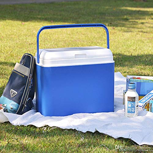 Interior WA240V elektrische Kühlbox, Mini Kühlschrank 22 L fürs Auto, Thermoelektrische Autokühlschrank Campingbox mit 12 V Anschluss, Minikühlschrank, EEF A+, inkl. 4 Kühlakkus + 1,5 kg Kühlsalz - 4