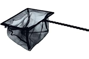 AQUAONE Aquarium Pêche Filet Taille 15 cm Épuisette Filet de Pêche Vert Aquarium Poisson Épuisette