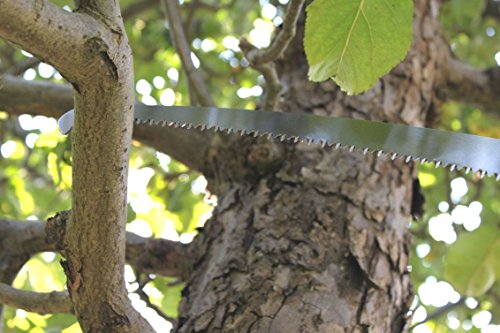 FenWi Teleskop Profi Baumsäge mit gebogener Haken Astsäge und 4,10m Aluminium-Teleskopstange als Baum-Entaster (bis zu 6,50m Höhe sägen) - 6