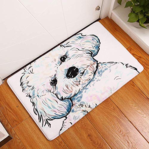 Preisvergleich Produktbild Aishankra Hund Tür Eingang Fußmatte Bodenmatte Küche Schlafzimmer Badezimmer Teppiche Anti-Rutschigen Teppich,D,2'0''X2'6'' / 50X80CM