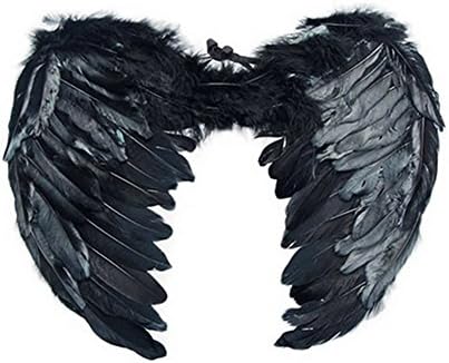 Aidle Angel Wings of Feathers Costume for Halloween Carnival Cosplay Costumes (60*45cm, Black)