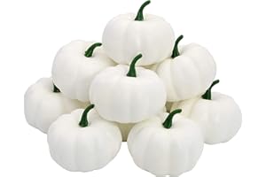 HBell Małe sztuczne realistyczne dynie jesienne żniwa mini dynie do domowego ogrodu, jesiennych zbiorów, dekoracja na Święto Dziękczynienia lub Halloween (białe)