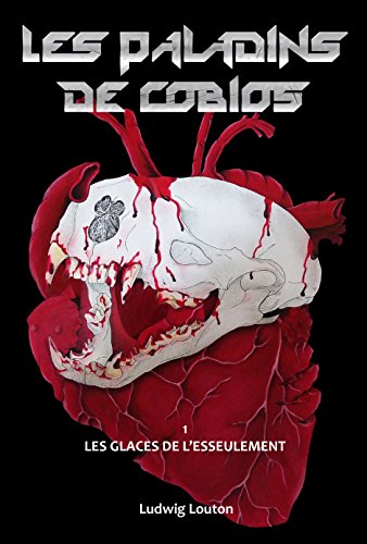 Les glaces de l'esseulement (Les Paladins de Cobios t. 1)