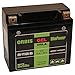 Produktbild Orbis Gel12-20-BS Motorradbatterie - YTX20-BS 12 Volt 20 Ah 350 A