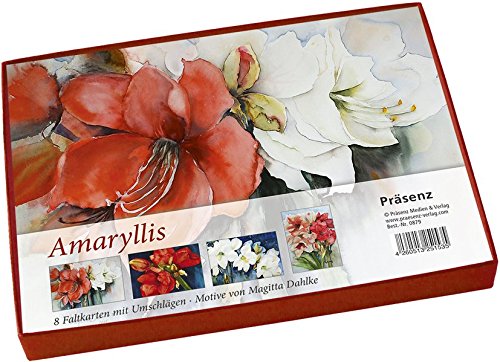 Preisvergleich Produktbild Amaryllis: 8 Faltkarten von Magitta Dahlke