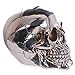 Mirror Effect Skull Money Box