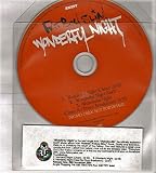 FATBOY SLIM - WONDERFUL NIGHT - CD (not vinyl) - FATBOY SLIM