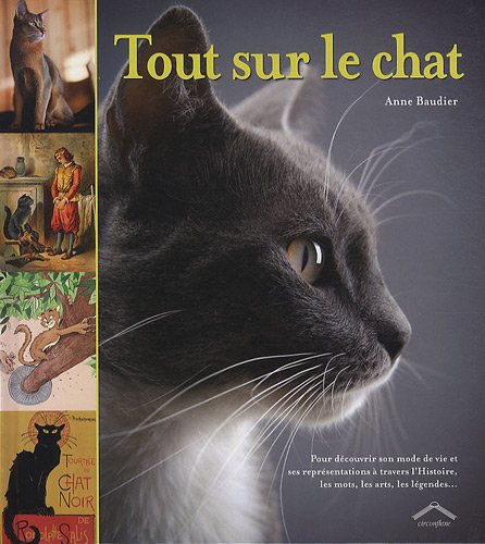 couverture de : Tout sur le chat