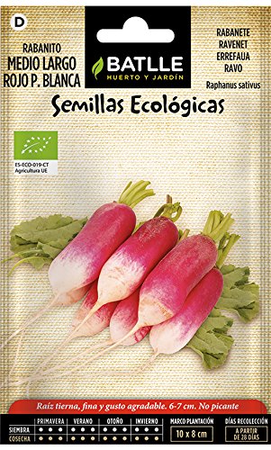 Semillas Ecológicas Hortícolas - Rabanito Medio Largo Rojo Punta Blanca- ECO - Batlle