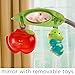 Summer Infant Deluxe Baby Bather Caterpillar with Toybar