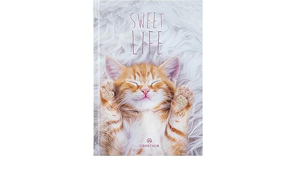 Aout A Juillet 21 12 X 17 Cm Oberthur Sweet Life Chaton 1 Agenda Scolaire Collection Agendas Scolaires Et Cahiers De Texte Fournitures D Ecole