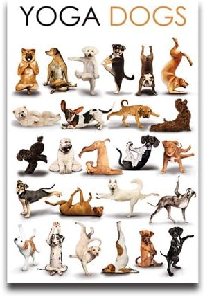 Yoga Dogs Pattern Poses Poster Ready To Hang On Custom Poster Art Print