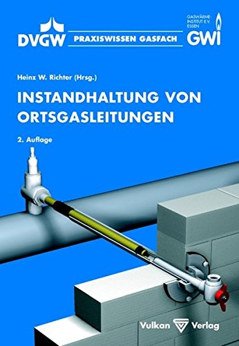 Preisvergleich Produktbild Instandhaltung von Ortsgasleitungen (Praxiswissen Gasfach)
