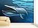 Produktbild Fototapete Swimming Whale - weitere Größen und Materialien wählbar - DEUTSCHE PROFI QUALITÄT von Trendwände