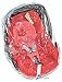 Universal Raincover To Fit Maxi Cosi Cabrio Pebble Car Seat (228)
