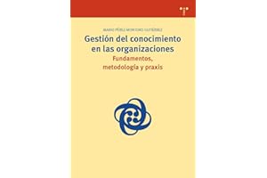 Gestión del conocimiento en las organizaciones: fundamentos, metodología y praxis: 19 (Biblioteconomía y Administración Cultural)