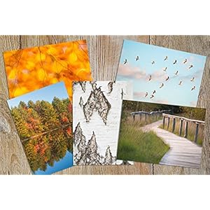 5er Set Postkarten Fotografien 