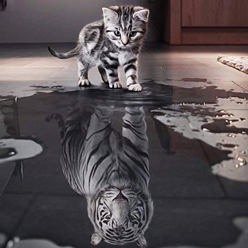 Demiawaking 5D Diamond DIY Schöne Katze Stickerei Malerei Kreuzstich für Wohnzimmer, Schlafzimmer, Arbeitszimmer usw. Haus Dekor (50*50cm)
