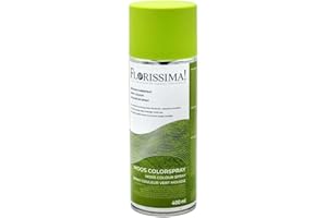 Florissima Farbspray 400ml – Sprühfarbe für Blumen, Deko & Bastelprojekte – Farben: Schwarz, Weiß, Moosgrün, Weihnachtsrot, Lila – Schnelltrocknend & Vielseitig (Moosgrün)