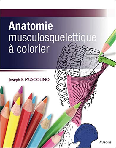 Télécharger Anatomie musculosquelettique à colorier Livre eBook France