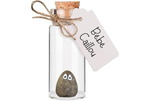 MISTER CURIOSITIES Bébé Caillou l'objet le plus mignon de toute la galaxie - Cadeau adorable, charmant, merveilleux, cute, kawaii - Lutin, fée, pierre, magie - Cabinet de curiosités