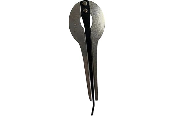 Harilla Harpe juive russe, instrument de musique à bouche, son fort, propre et net pour adolescents débutants, joli cadeau, L