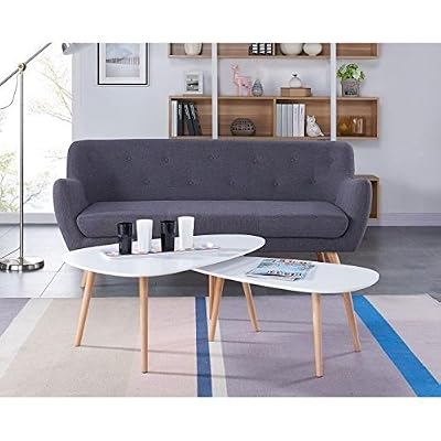 Générique KIVI Lot de 2 tables basses gigognes style scandinaves en MDF laqué blanc mat - L 98 x l 61 / L 88 x l 48 cm
