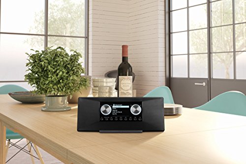 Medion 50056415 MD 87990 (2,8 Zoll TFT-Display) WLAN Internet-Radio, grau