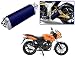 Auto Pearl Premium Quality High Performance Bike Exhaust Muffler Silencer Triangle Blue For - Bajaj Pulsar RS.2899.00