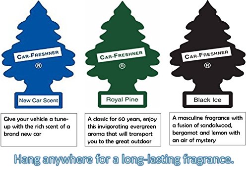 Little Tree Car Air Freshener 3Pc Combo - New Car Scent + Royal Pine + Black Ice RS.749 (37.00% Off) - Amazon