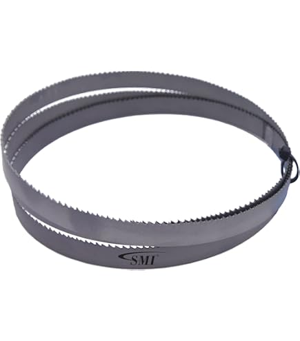 Starrett ns1101638 1638 x 13 x 0,65 mm 10T Regular Duratec Sfb Carbon Band zaagblad