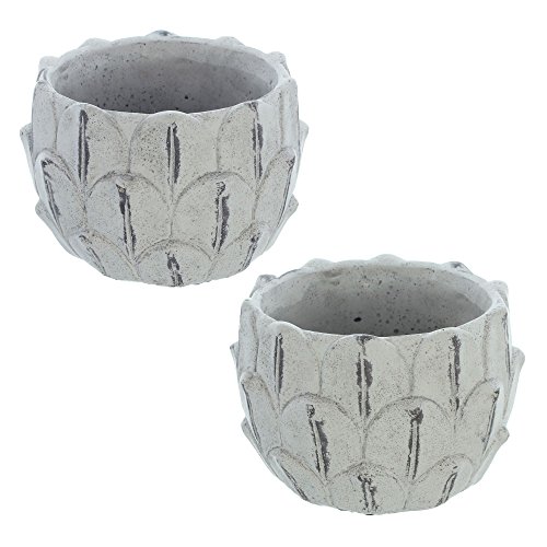 Preisvergleich Produktbild Pflanzer "Lotus" im 2er Set