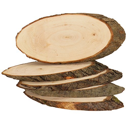 Rindenscheiben 5 Stück ✓ ovale Holzscheiben sind ca. 23 - 26 cm lang ✓ Baumscheibe aus Erlen-Holz ✓ tolles Naturprodukt (Hinsichtlich der Maße sind Abweichungen möglich.) ✓ große Naturholzscheibe unbehandelt ✓ Holzscheiben mit Rinde ✓ grosse Rindenscheiben auf beiden Seiten geschliffen ✓ Türschilder selber gestalten / basteln mit den Baumscheiben ✓ für Deko & vielseiteige Bastelideen | trendmarkt24 - 4026
