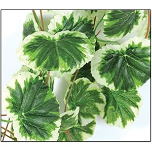 Reptiles Planet Dekoration, Congo Jungle, 2,6m