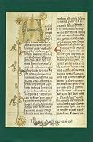 Wesen und Wirkung des Symbolbegriffs - Ernst Cassirer