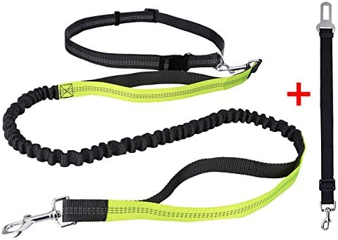 Hands Free Dog Leash,Dog Seat Belt,HICYCT Adjustable Waist Belt and Extra Handle Walking Bungee Leads ,Reflective Stitching,For small large dogs-Up to 60 Kg. (Green)