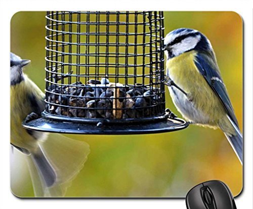 Preisvergleich Produktbild One Feeder Mouse Pad, Mousepad (Birds Mouse Pad)