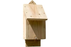 Wildlife World Chavenage Bat Box