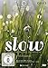 Slow (DVD)