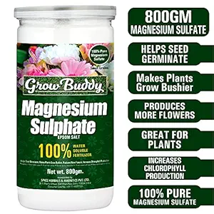 GROWBUDDY Magnesium Sulphate Epsom Salt for Plant Growth, 800g