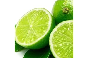 Haloppe 20 piezas de semillas de frutas de limón para plantar en el jardín del hogar, semillas de cítricos de limón Bonsai Fruit Home DIY Garden Yard Plant Pot Decor Semillas de limonero