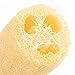 Hrph Natural Loofah Luffa Bath Shower Wash Body Pot Bowl Sponge Scrubber Spa