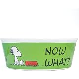 Peanuts Snoopy Suppertime Small Dog Bowl Amazon Co Uk Pet Supplies