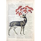 HIRSCH MIT KIRSCH 97