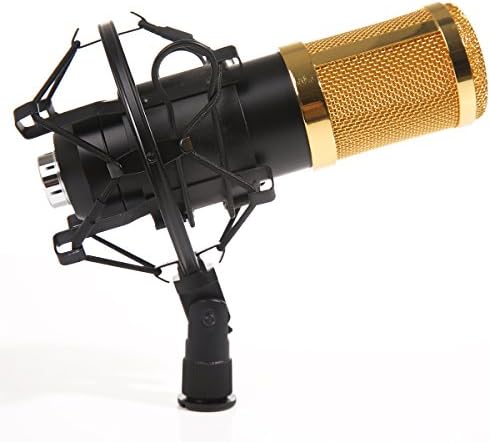 Dolotu BM Series Dynamic Condenser Microphone Sound Studio Recording Mic+ Shock Mount + Microphone Windshield- Professional Studio Broadcasting &amp; Recording Microphone SetEnjoying Singing Speaking High Party (BM800, Black)